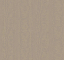 Loymina Classic II V5 010/1
